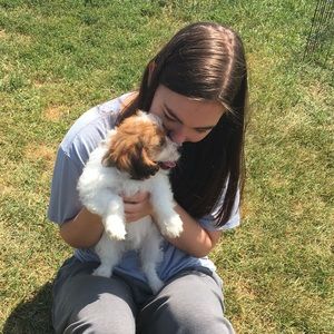 Meet your Posher, Lily